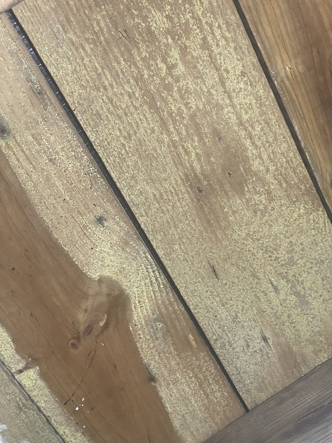 Affected wood surface before mold remediation